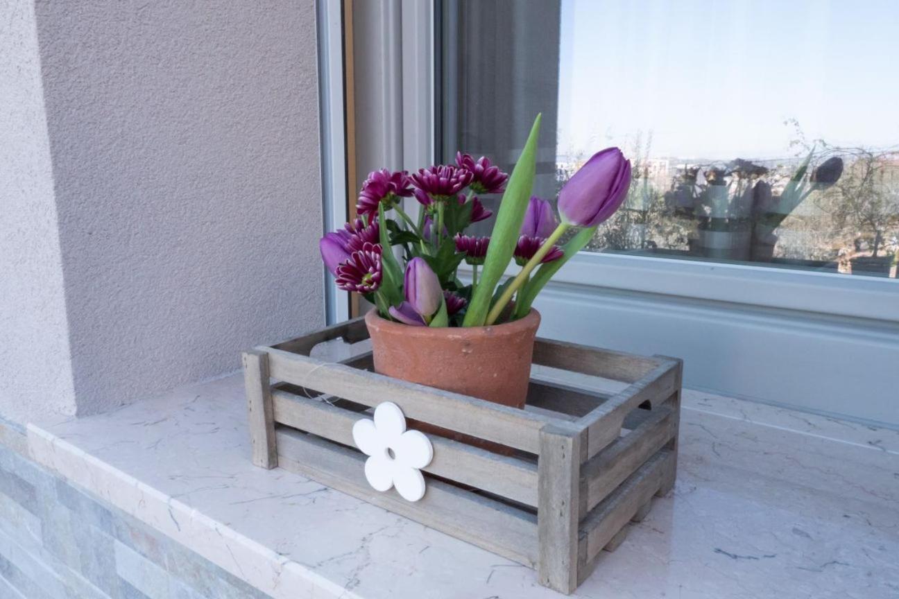B&B Sibi Chieti Dış mekan fotoğraf
